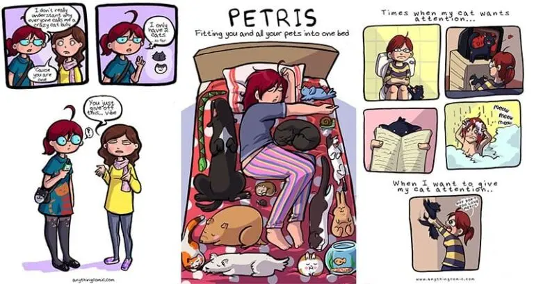 Illustrations Living With Cats