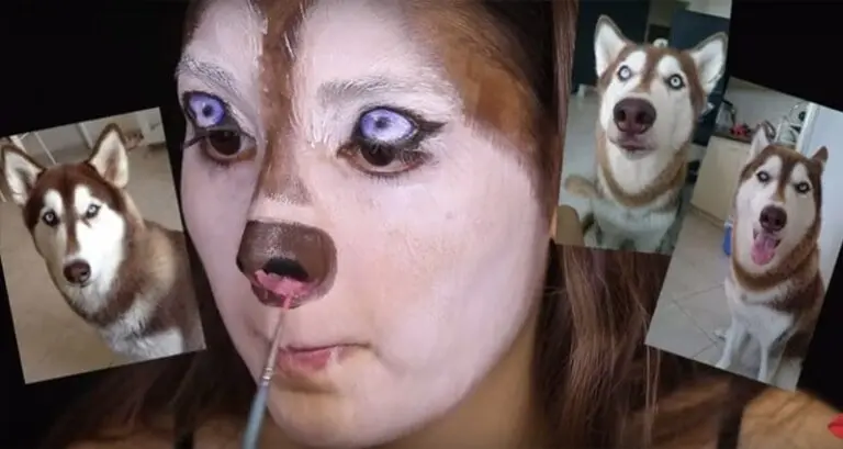 Makeup Tutorial For Dog-Lovers