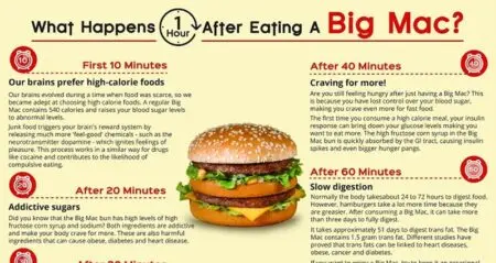 Mcdonalds Big Mac Health Effects