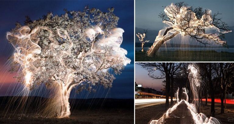 Vitor Schietti Light 'Dripping' From Trees