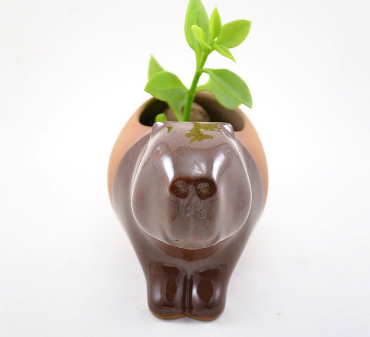 animal planter