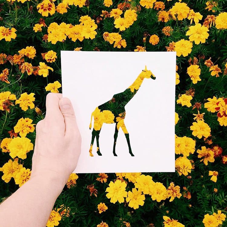 animals-silhouettes-natural-landscapes-nikolai-tolstyh-giraffe