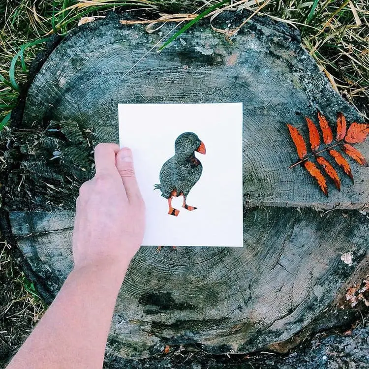 animals-silhouettes-natural-landscapes-nikolai-tolstyh-puffin