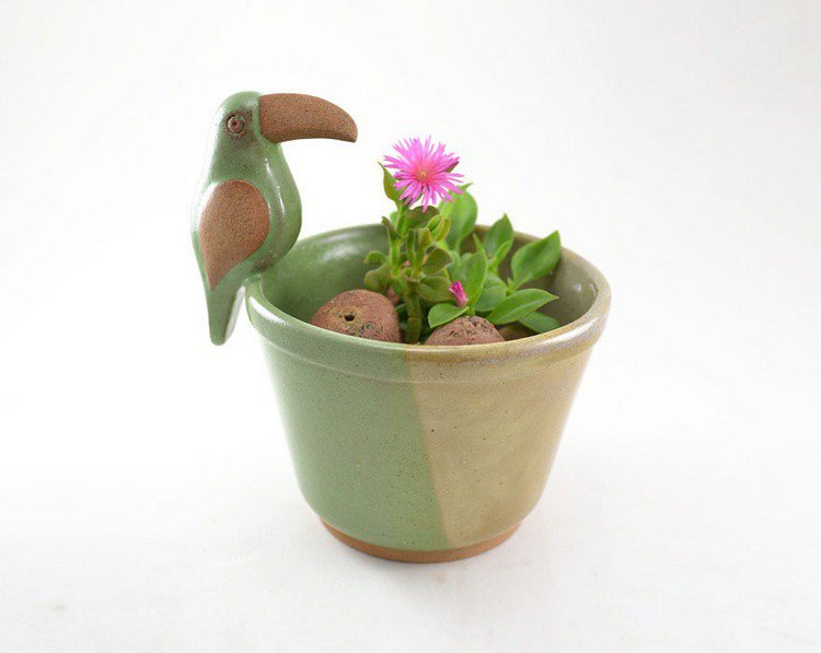 bird planter