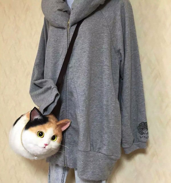 cat-bag-two