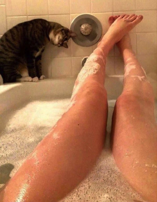 cat-bath