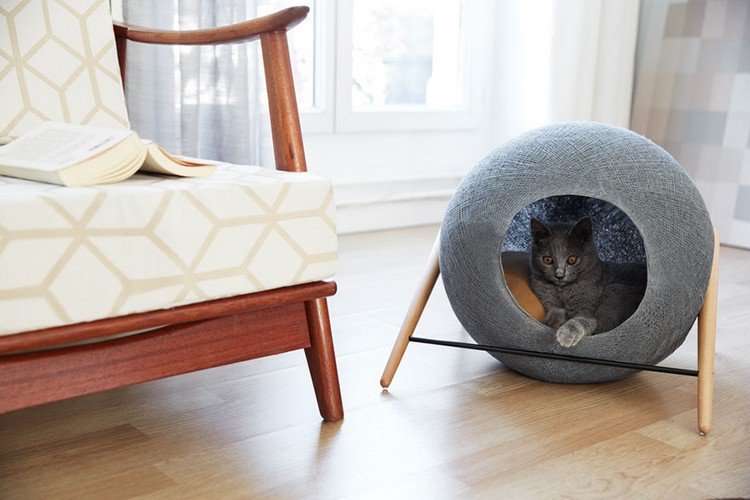 cat cocoon chair