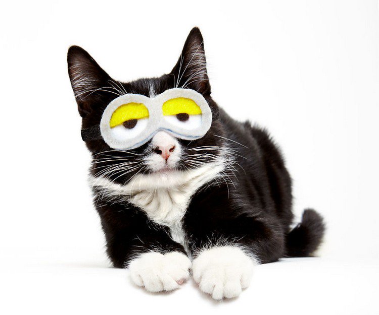 cat eyemask