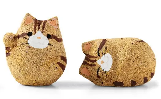 cat-fortune-cookies-brown