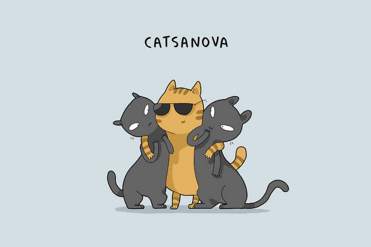 catsanova