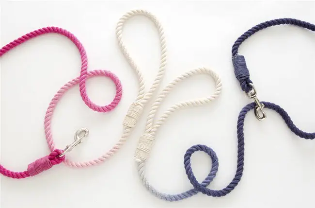 colored dog leads