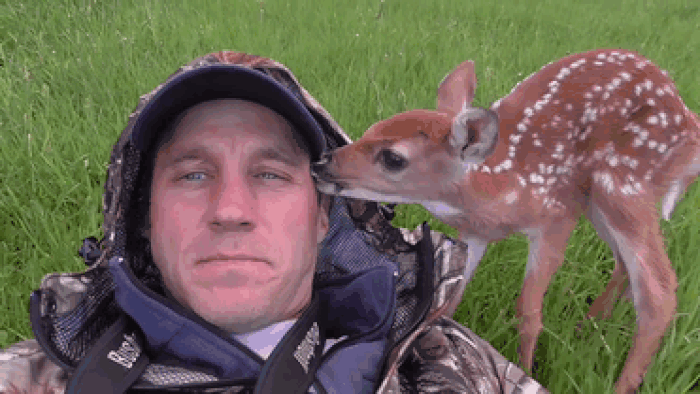 deer licking man