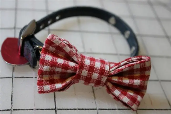 dog bow tie