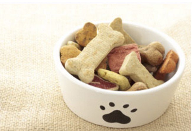 dog treats