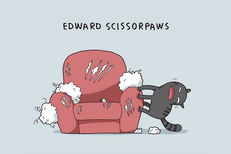 edward scissorpaws