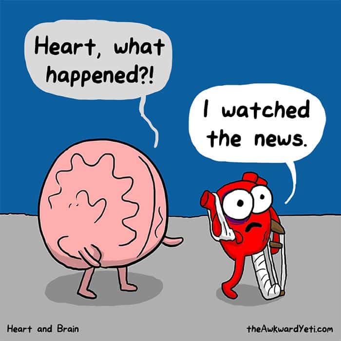 heart-brain