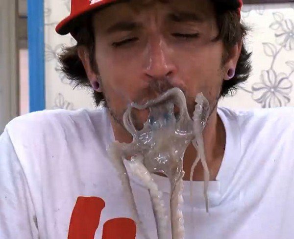 man eating live octopus