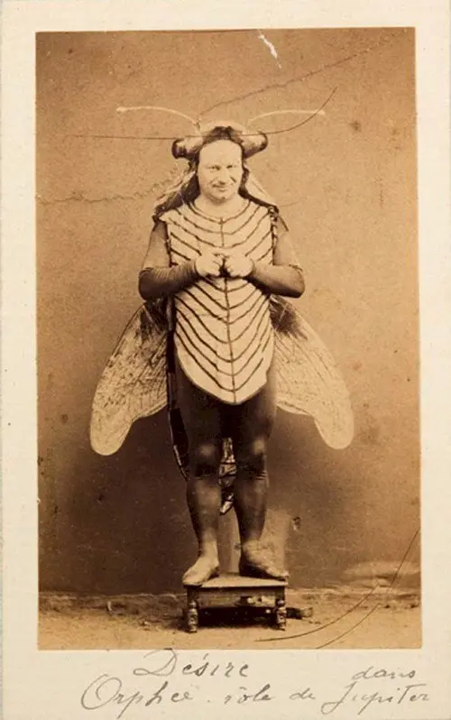 man insect costume