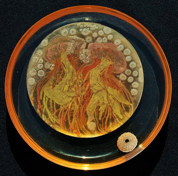 microbe-art-contest-jellyfish