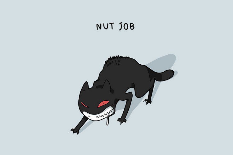 nut job cat