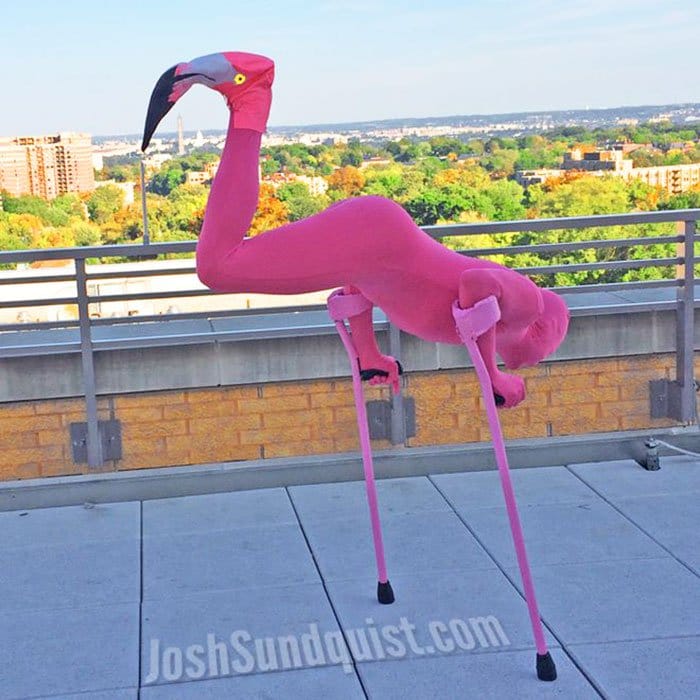 one-leg-flamingo
