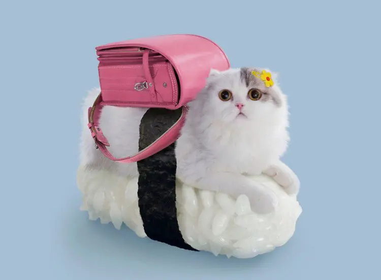 pink bag sushi cat