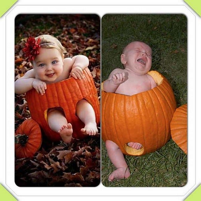 pumpkin babies