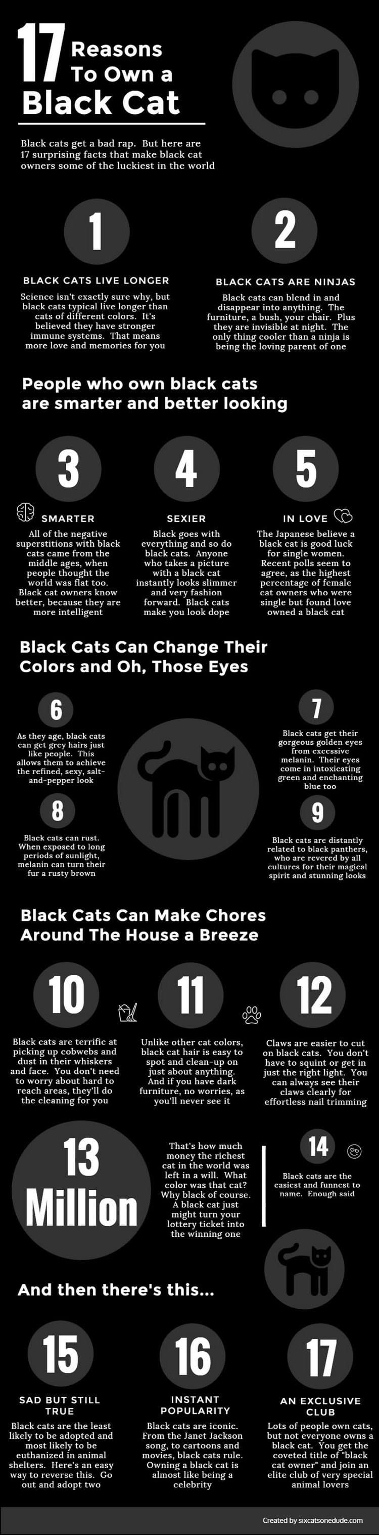 reasons own black cat