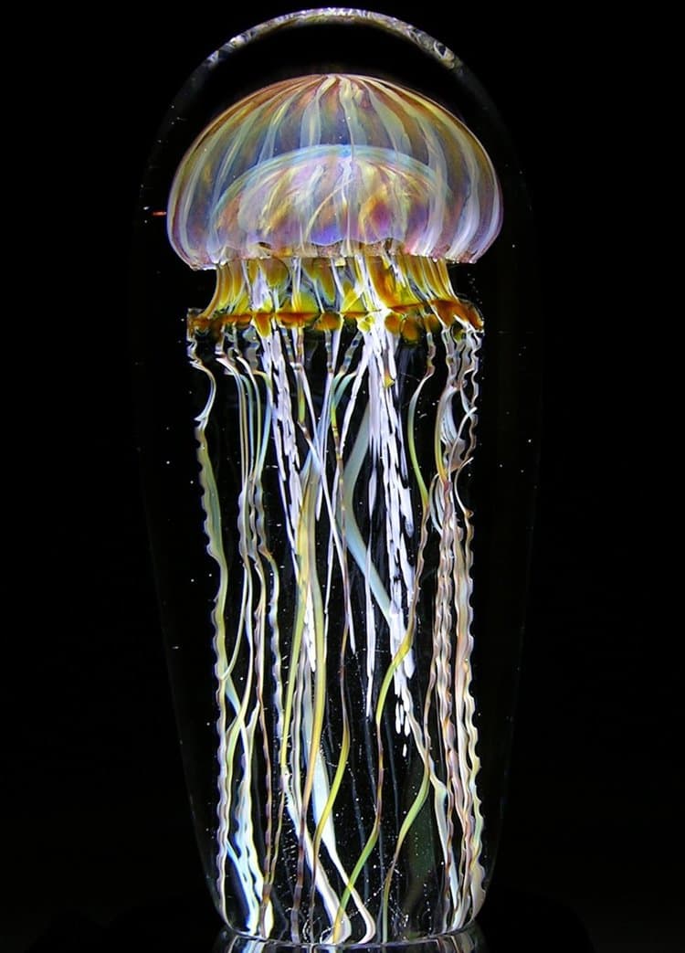 rick-satava-jellyfish-long