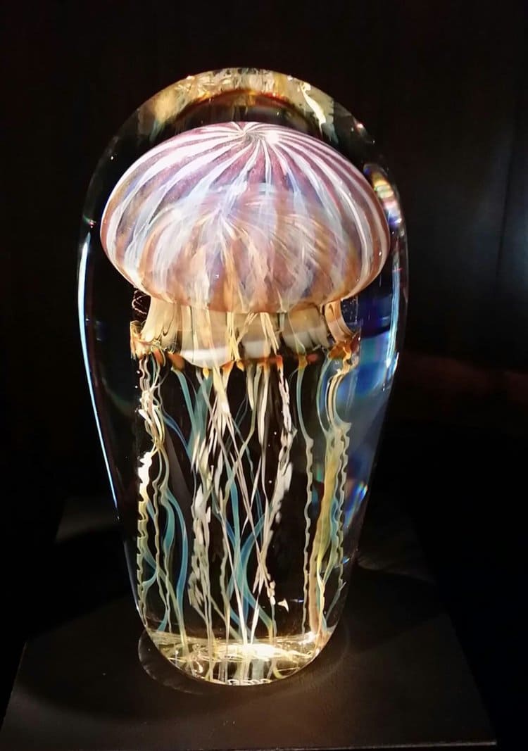 rick-satava-jellyfish-stripe 