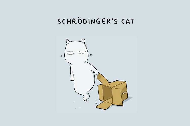 schrodingers cat