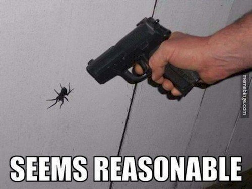 spider gun