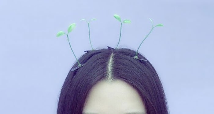 sprout-hair