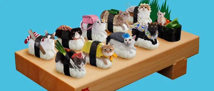 sushi cats board