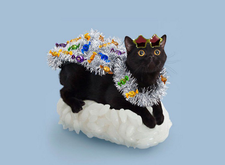 tinsel sushi cat