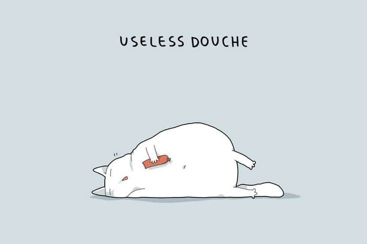 useless douche cat