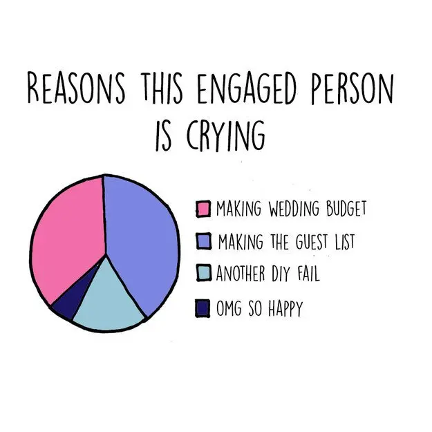 wedding-planning-charts-crying