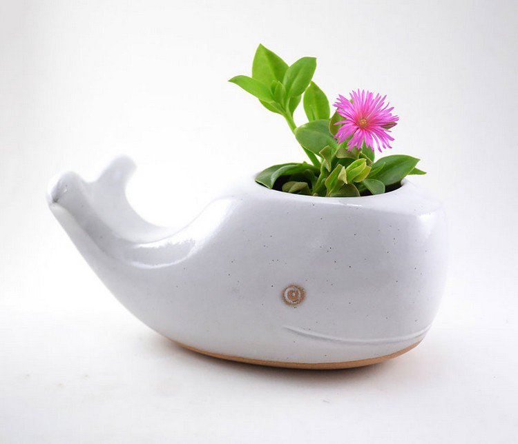 whale planter