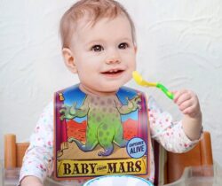 Circus Act Baby Bibs
