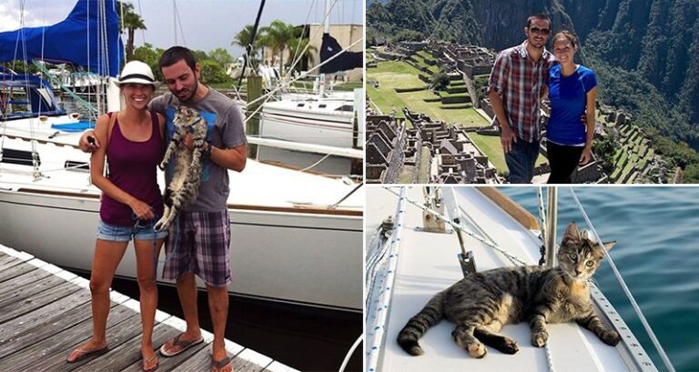 Couple Quit Jobs Cat Sail The World