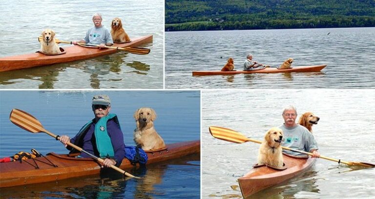 David Bahnson Special Dog Kayak