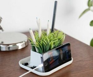 Grass Pen Pot And Phone Stand