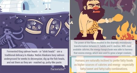 10 Surprising And Interesting Facts About Taste Buds Around The World