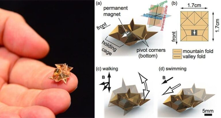 Mini Origami Robot