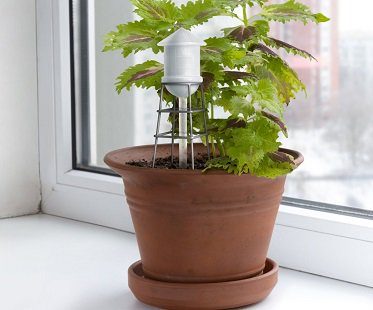Mini Plant Water Tower