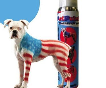 Pet Paint Colored Hair Spray
