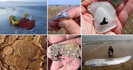 Things Found On Beaches
