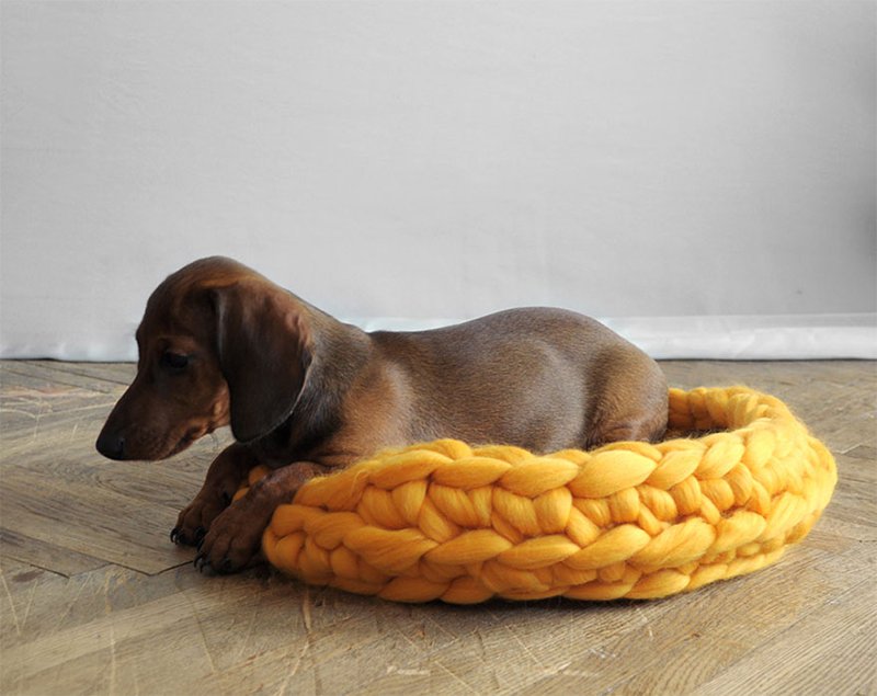 Yellow Dog Bed