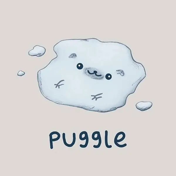 animal-puns-a-puggle