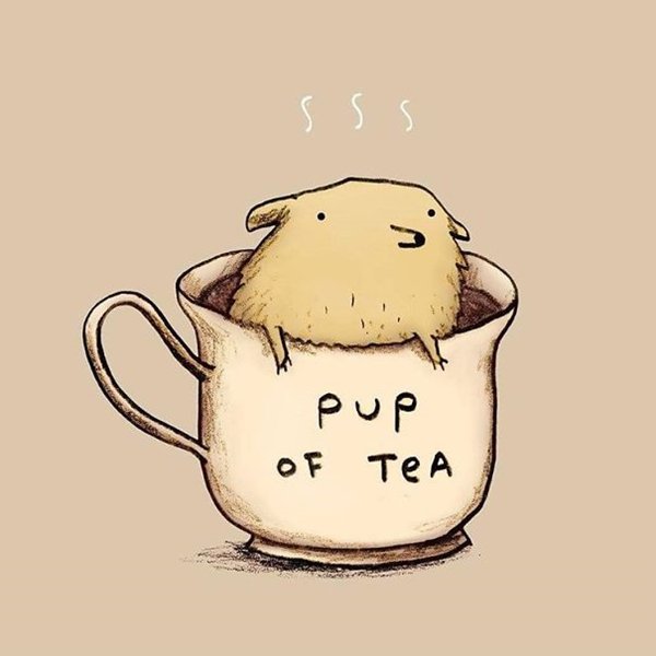 animal-puns-nice-pup-of-tea